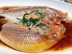 -华盛丰温州大排档(东三环南路店)