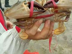 -浪琴湾度假村