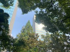 -静安公园(静安寺街道)