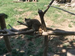 -石家庄市动物园