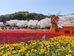 -苏州上方山国家森林公园