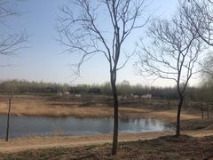 -东郊湿地公园