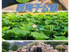 -西海子公园