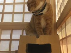 -小时光咖啡馆(开森度假森林店)