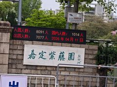 -嘉定紫藤园