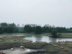 -溱湖国家湿地公园