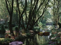 -上海共青森林公园