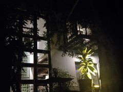 -WILDS 野有食(碧坞店)