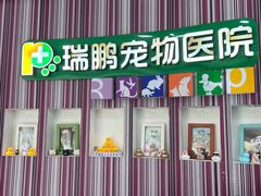 -瑞鹏·疫苗·绝育·宠物医院(金沙洲店)