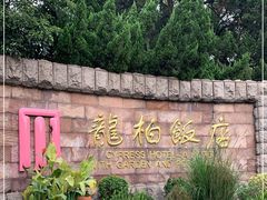 -龙柏饭店-地面停车场