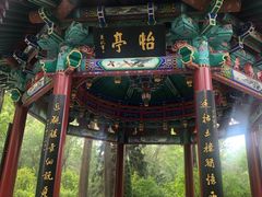-西宁市人民公园(城西区)