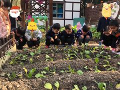 -协和实验幼儿园