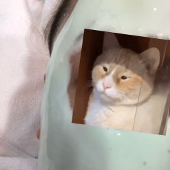 -蕾特恩专业祛痘国际连锁