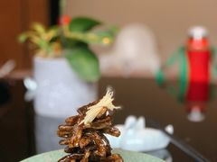 无锡脆鳝-夜上海(新天地店)