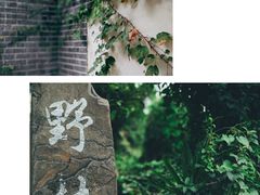 -南山植物园