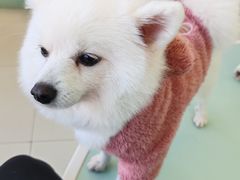 -怪兽屋·羊驼·猫咖·狗咖(俊华广场店)