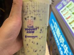 -一只酸奶牛(春熙路店)