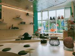 -飞行喵MR PILOT|猫舍·猫咖(静安大融城店)