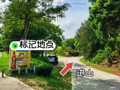 -风云岭森林公园