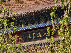 -大悲禅寺