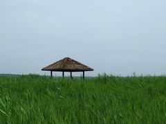 -西青郊野公园