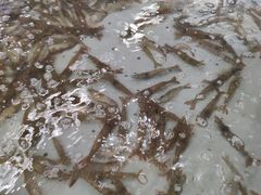 -永辉超市(红旗街万达广场店)