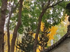 -西安关中民俗艺术博物院