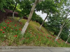 -石湖景区
