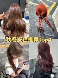 -蚂蚁造型俱乐部