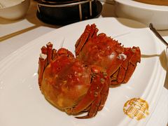阳澄湖大闸蟹-南景饭店(万家丽路店)