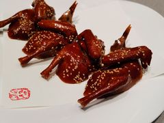 -子福慧(虹桥店)