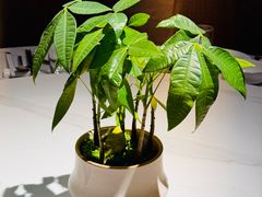 -荟廷·晶萃(陆家嘴尚悦湾店)