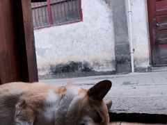 -阿木舂记·特色小吃(平江路店)