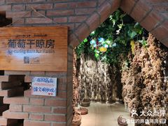 -新疆国际大巴扎