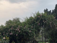 -人民公园(罗湖区)