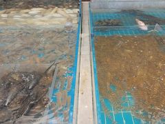 -新丁香海鲜酒店(银海商贸城店)