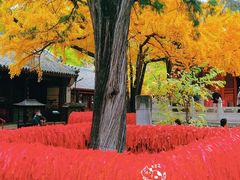 -红螺寺