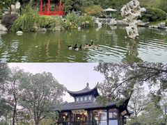 -扬州瘦西湖温泉