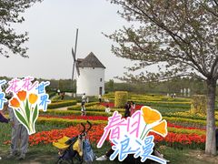 -金卉庄园