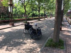 -洛阳市隋唐城遗址植物园