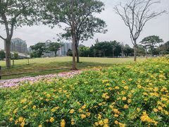 -二沙岛艺术公园