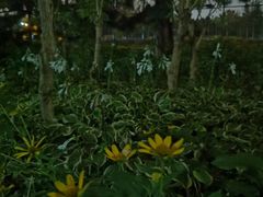 -望湖公园