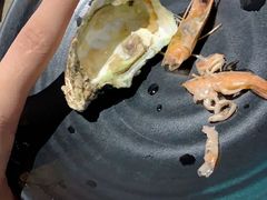-烤圣自助美食音乐餐厅