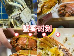 -黄记大闸蟹专卖店·活蟹·醉蟹