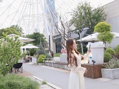 -南昌之星摩天轮