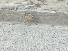 -太原动物园