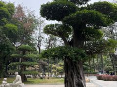 -南宁南湖公园