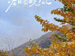 -西安祥峪森林公园