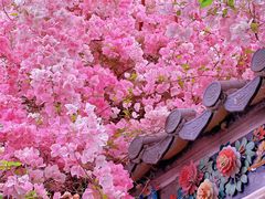 -深圳国际园林花卉博览园