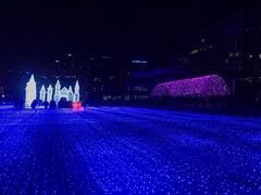 -海云台海滩